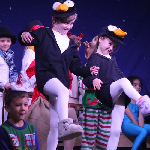 Christmas for penguins