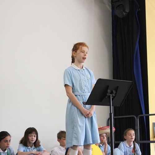 IMG06571)