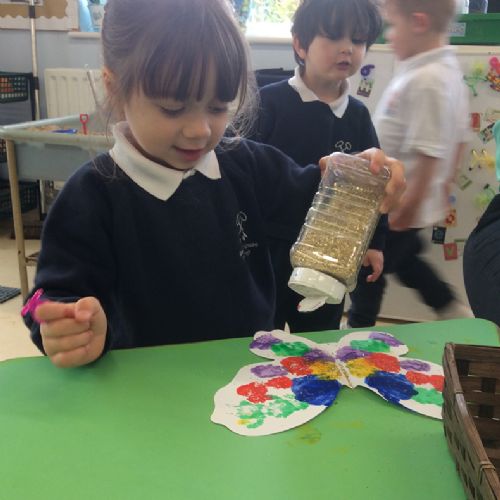 Caterpillars and butterflies