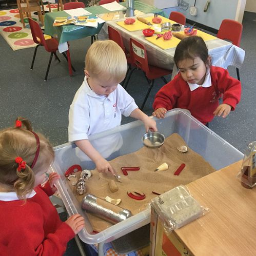 The Robins go exploring