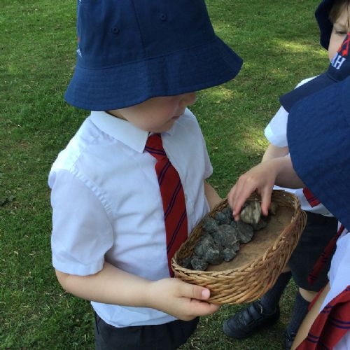 From little acorns...