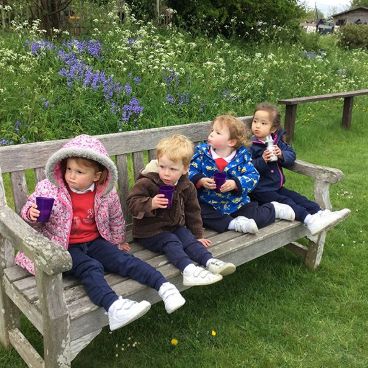 Russell House Settling in marvellously